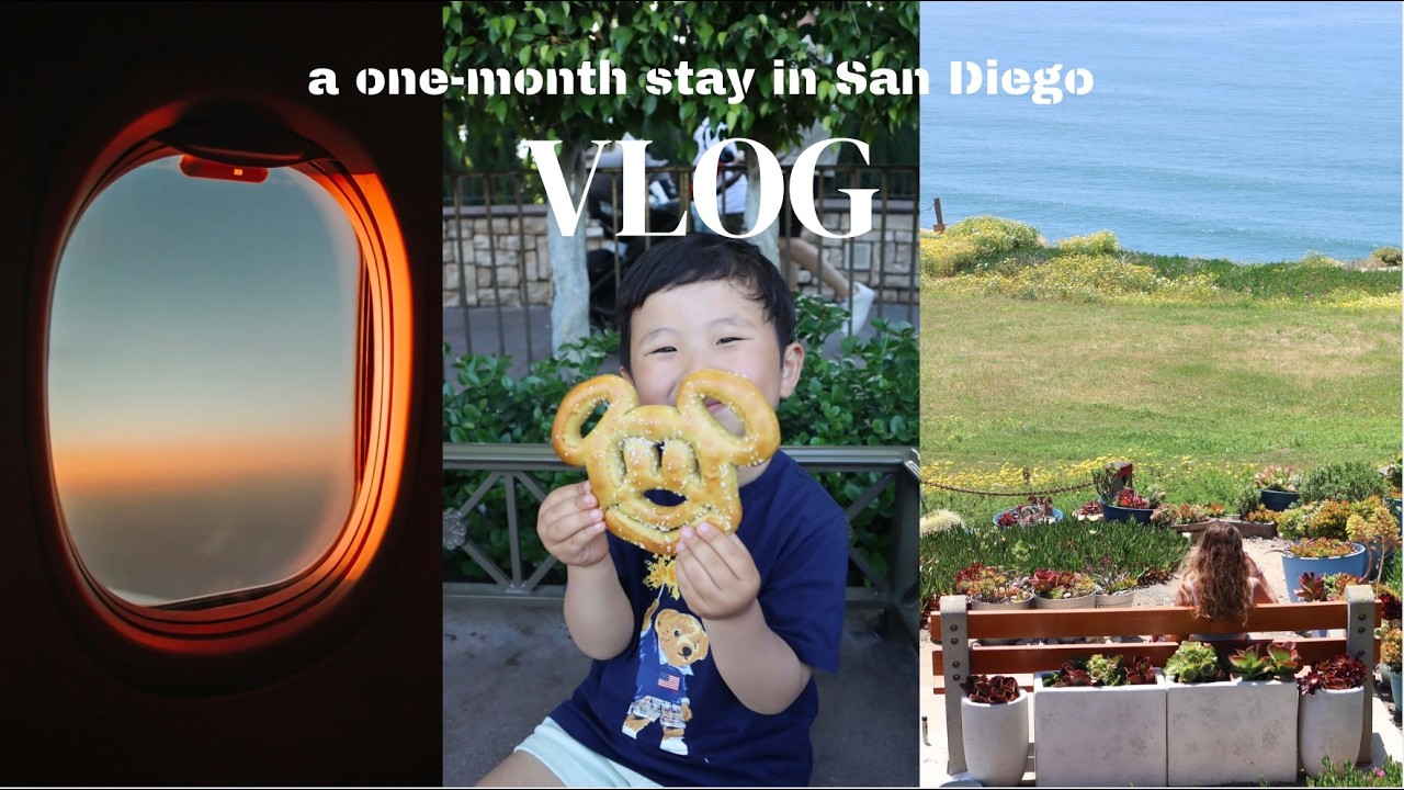 vlog. 샌디에고 맛집, 핫플, 카페, 조슈아트리국립공원, 디즈니랜드