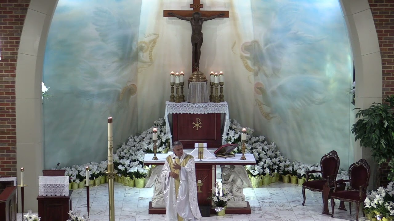 Father Mark Beard's Homily - 