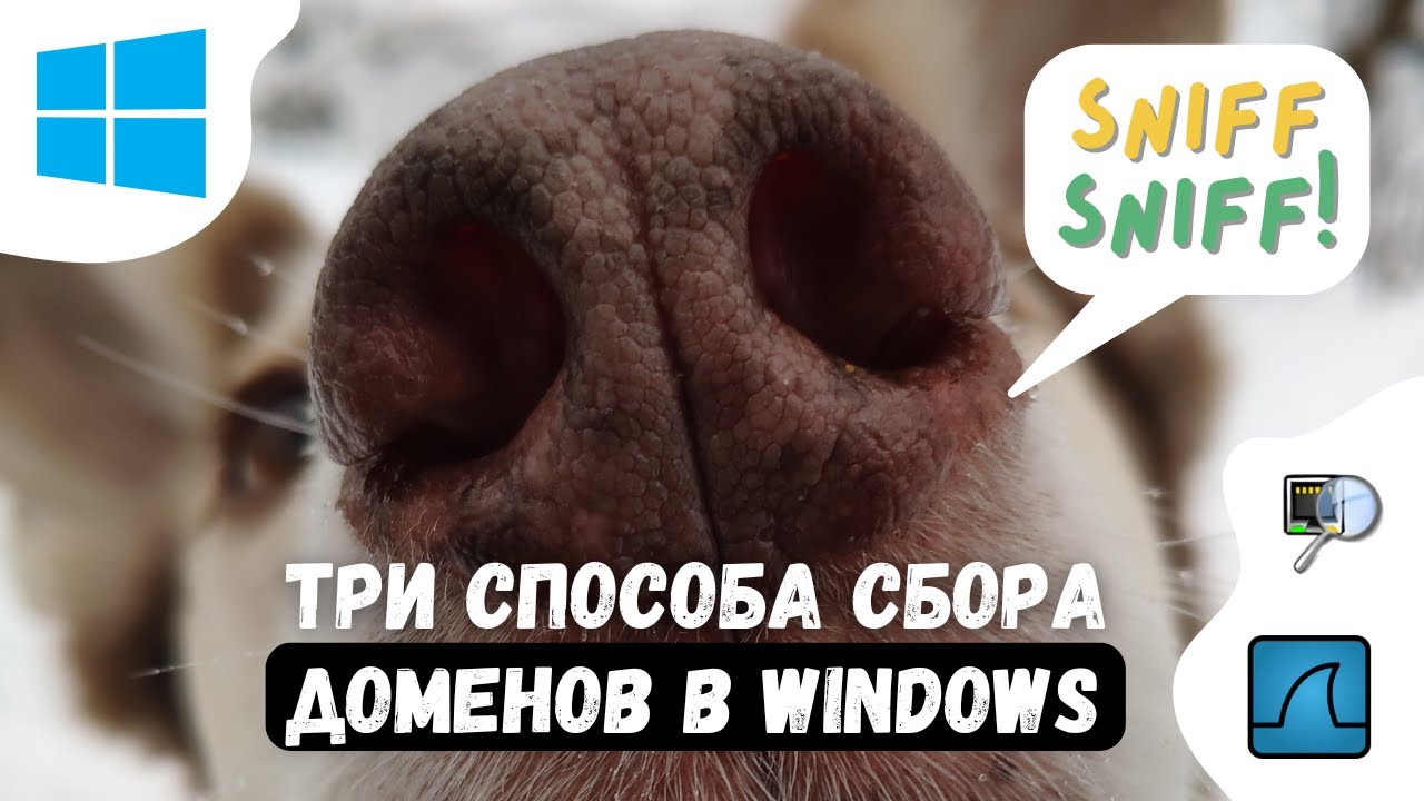 Узнаём домены, к которым обращаются приложения в Windows с помощью Network Monitor, Wireshark