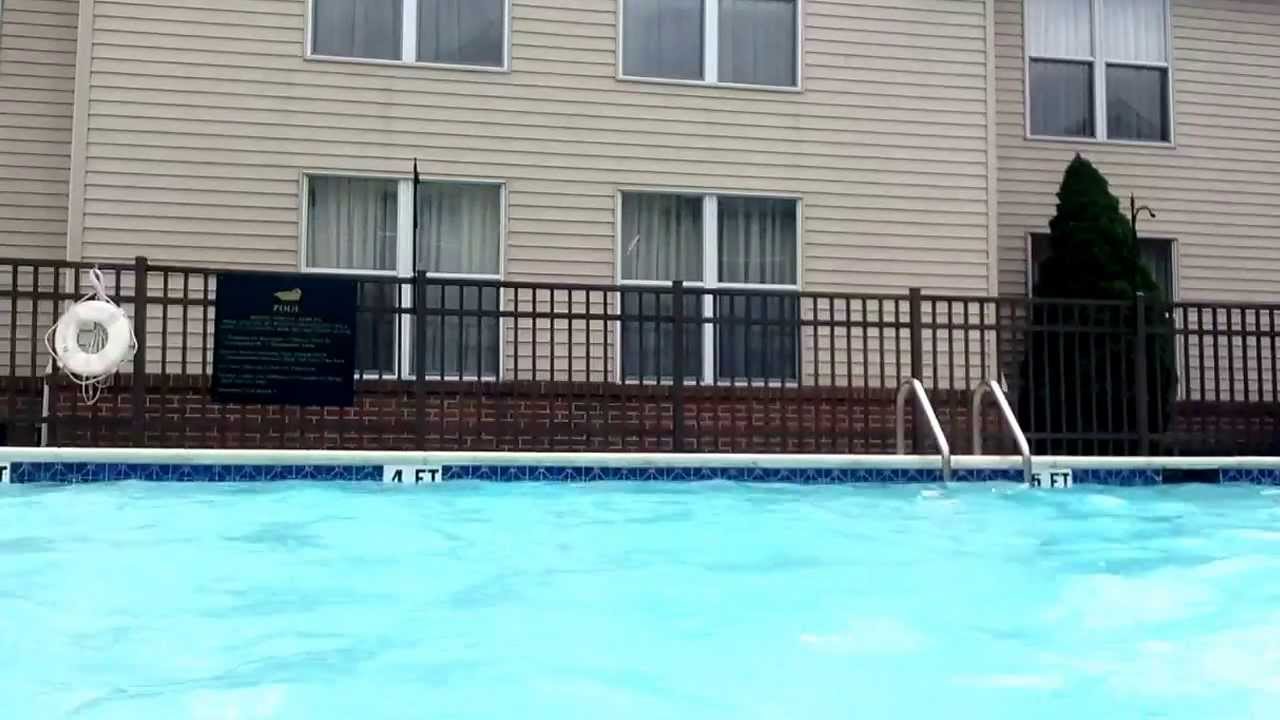 Swim fat boy swim!