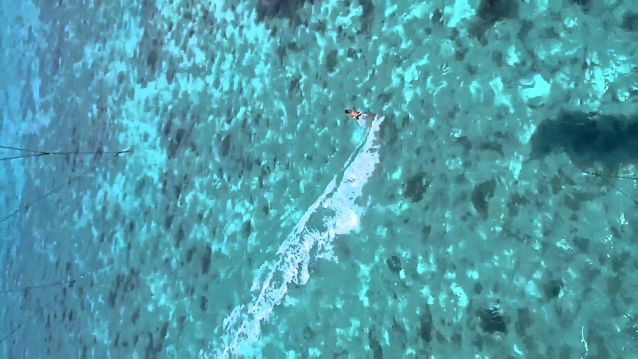 Kite KOHAMAJIMA