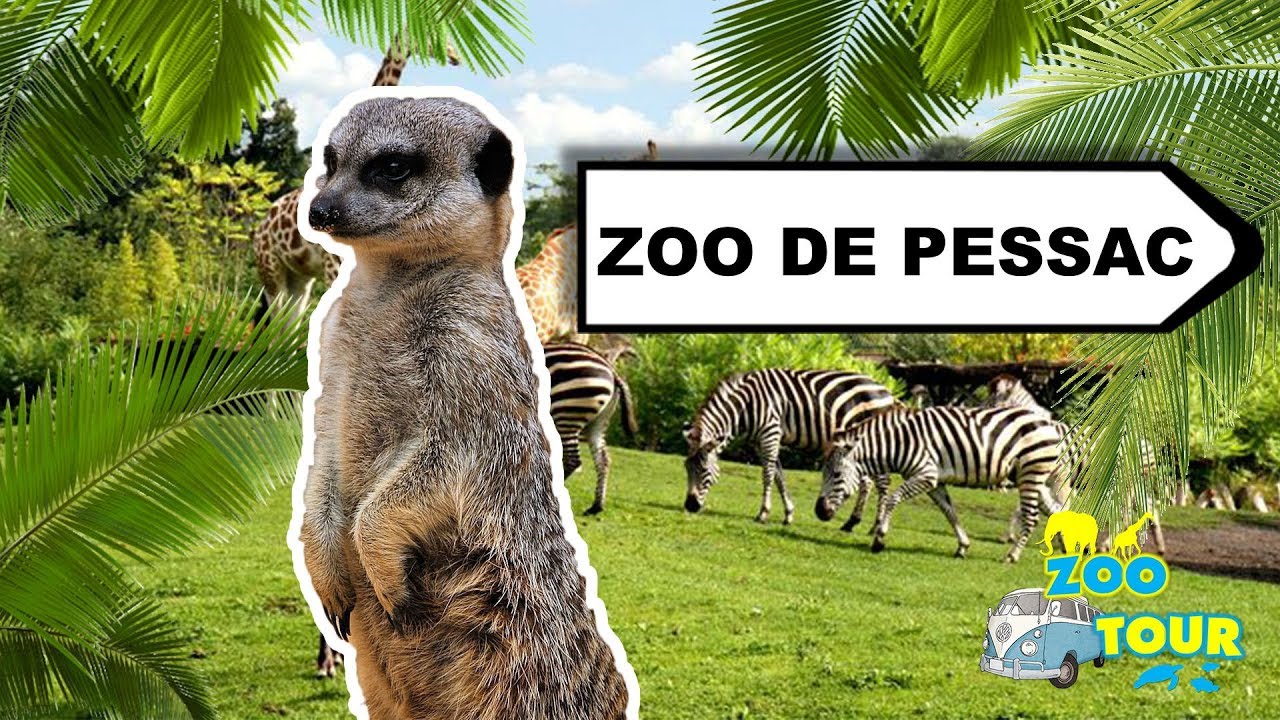 ZOOTOUR #4 Zoo Bordeaux Pessac