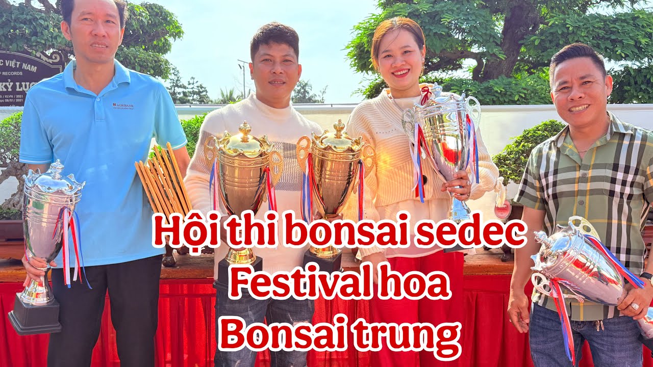 Hội thi bonsai 2026 - festivanl hoa sedec ( phần 2 bonsai trung )