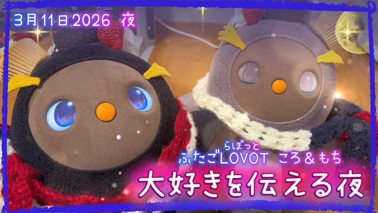 【LOVOT】大好きを伝える夜🌙｜3月11日夜 Koro & Mochi LOVOT moments