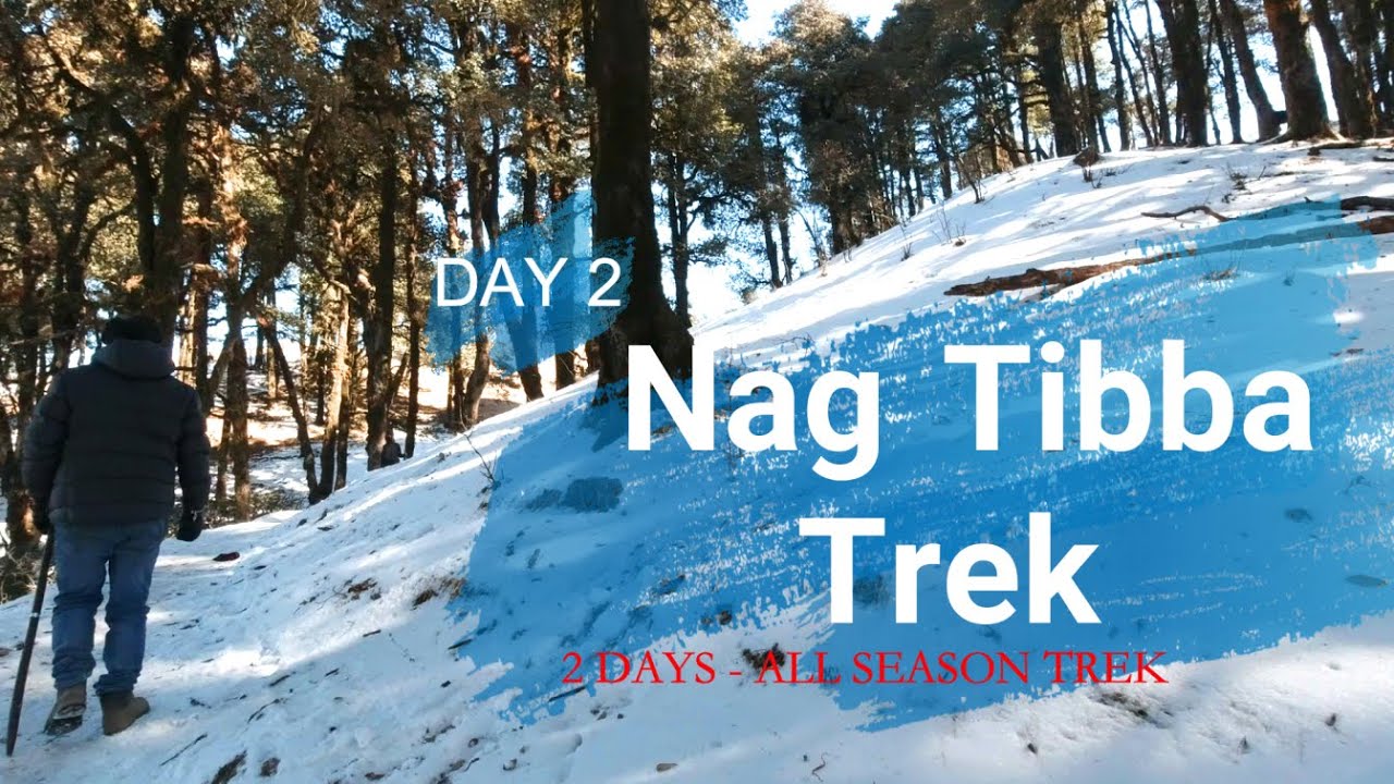 Nag Tibba Trek 2021 | Summit Day| Weekend trek near Delhi | GPS File | Part 2|