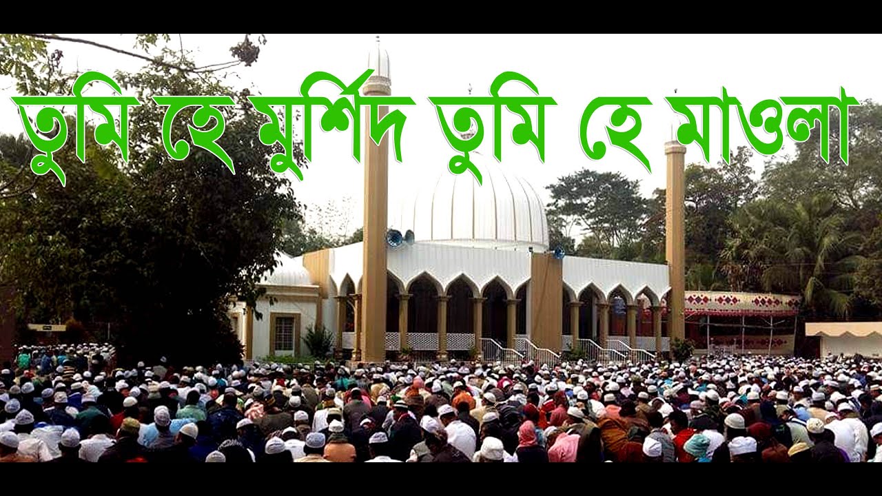 তুমি হে মুর্শিদ তুমি হে মাওলা||Tarikat TV||