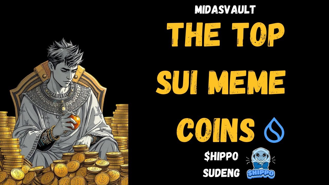 The Top Sui Meme Coins: $HIPPO