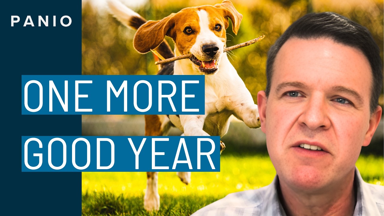 The Human-Dog Bond Explained: How It Impacts Dog Health and Longevity