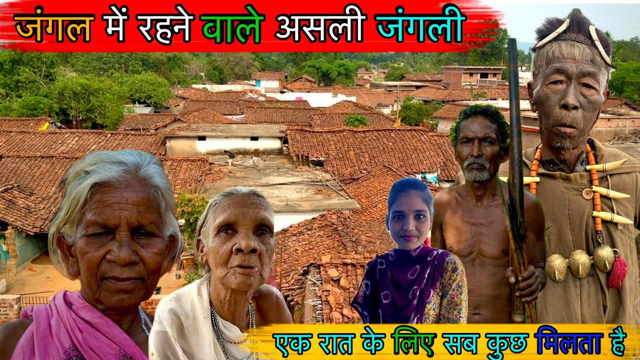 भारत के घनघोर जंगल में रहने वाले आदिवासी | यहां लड़कियां करती है शिकार Tribals living in the forests