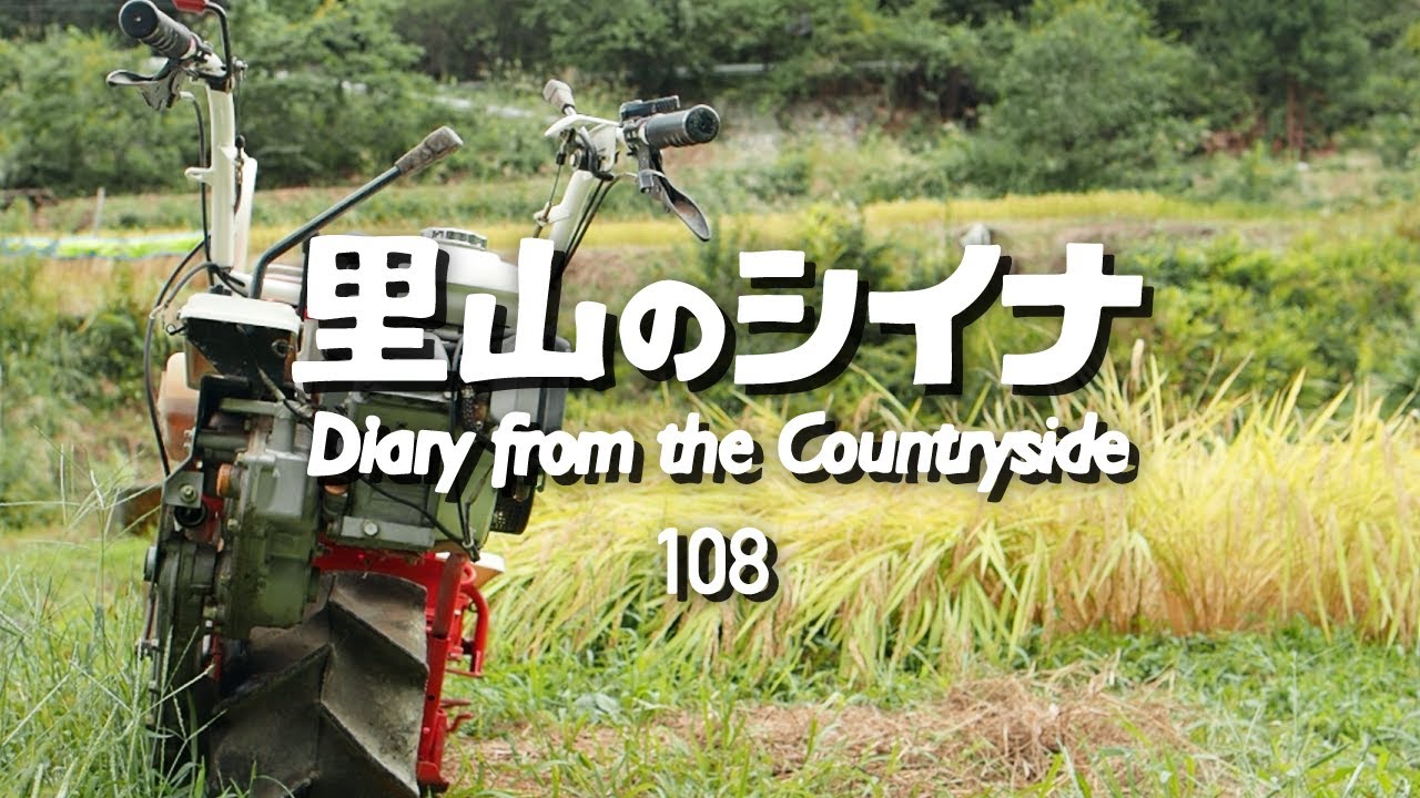 田舎暮らし 108：初めての稲刈りは失敗だらけ / エアコンの撤去