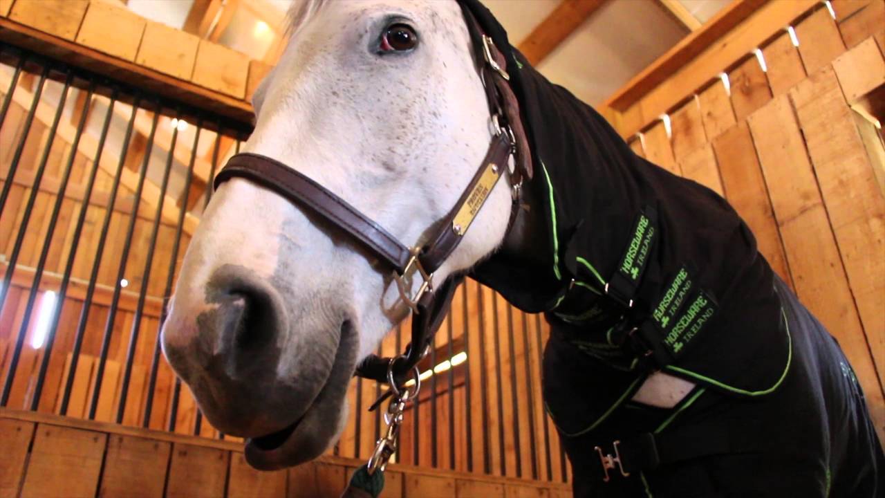Horseware Ireland Sportz-Vibe Massage Therapy Blanket | FarmVet