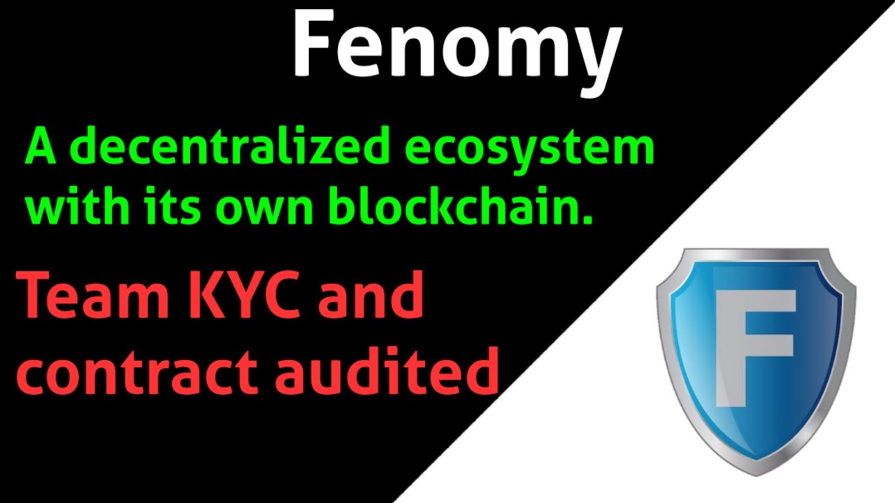 🔥[ Fenomy ] A decentralized ecosystem with its own blockchain | Presale on 9th FEB | Alt gem's |