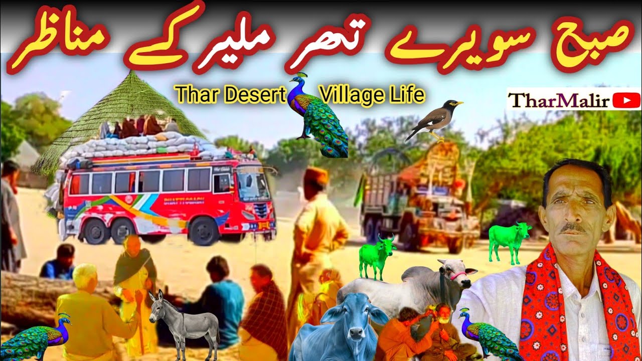 Early Morning Views of Thar Malir | Beautiful Thar Desert Village Life in Pakistan | TharMalir.