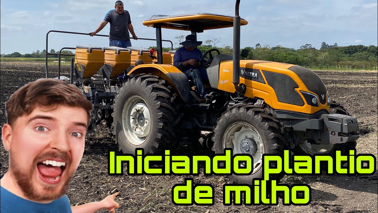 Plantio de milho no outono /🌽🔥