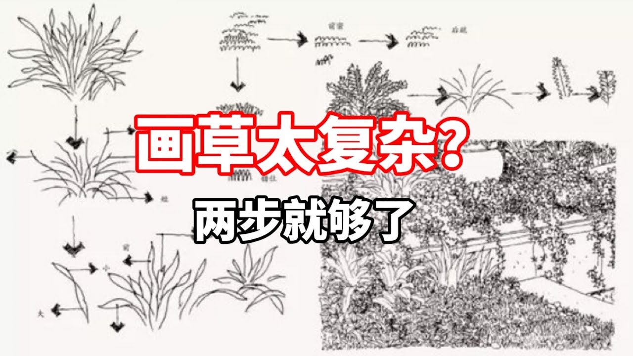 风景中草怎么画？ 零基础钢笔速写教程