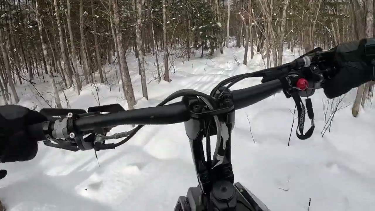 Widescape WS250 Small ride