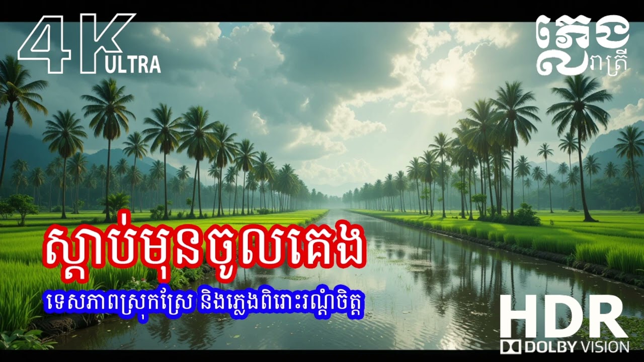 ភ្លេងកំដរចិត្តពេលយប់ 🌌 ស្ដាប់មុនគេង ឲ្យអារម្មណ៍ស្ងប់