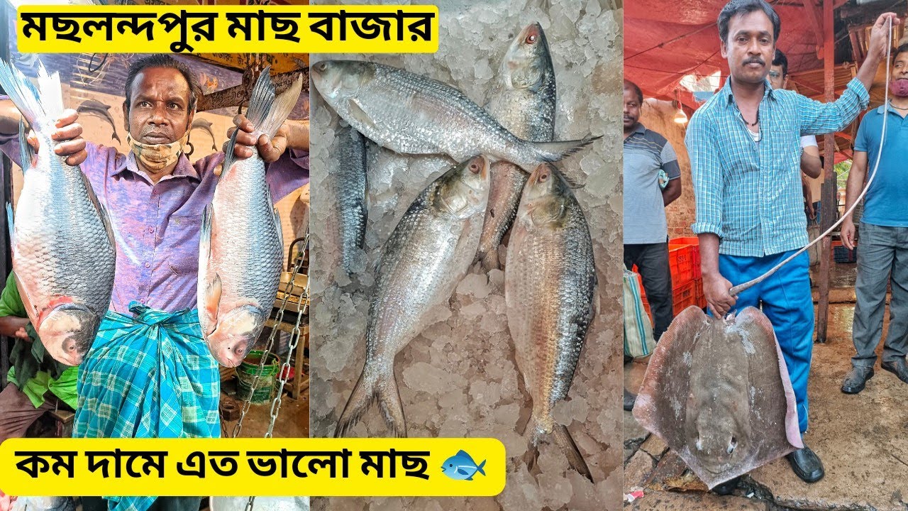 মছলন্দপুর মাছ বাজার || কম দামে এত ভালো মাছ 🐟!! Maslandapur Fish Market @SrijitRiyaStory