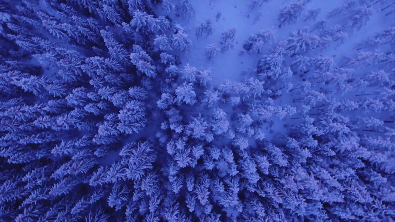 The Lullaby of North 北方摇篮 Колыбель Севера 🎵 Instrumental music by OZ