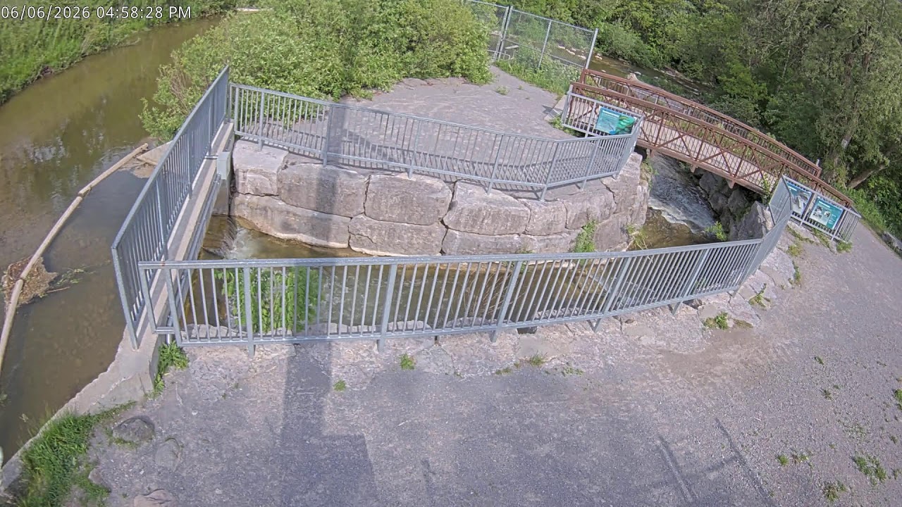 Bowmanville Fishway Live Camera