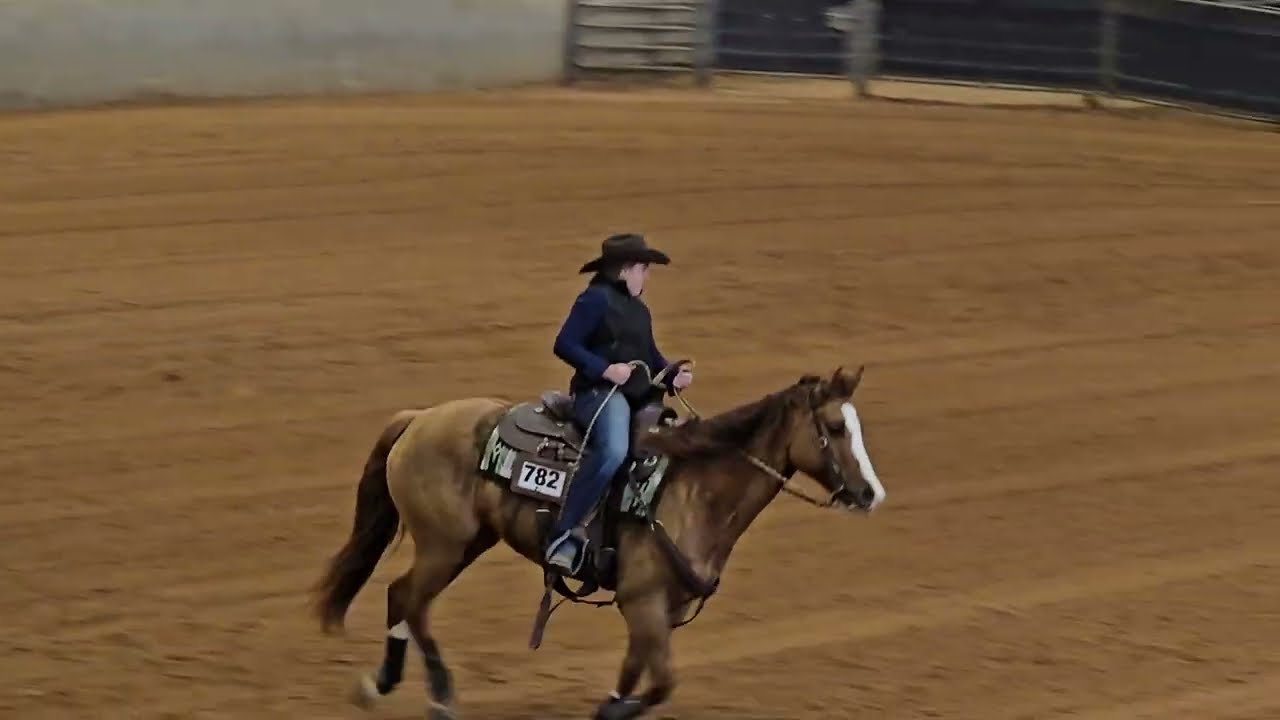 3/7/2026 Taylor and Dun Slidin 22 Ranch Reining SHTX