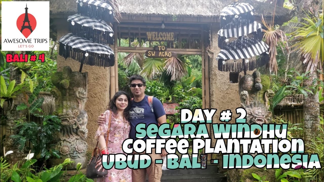 Luwak Coffee Plantation - Ubud Bali Tour - Best place to visit in Bali - Awesome Trips Travel Vlog