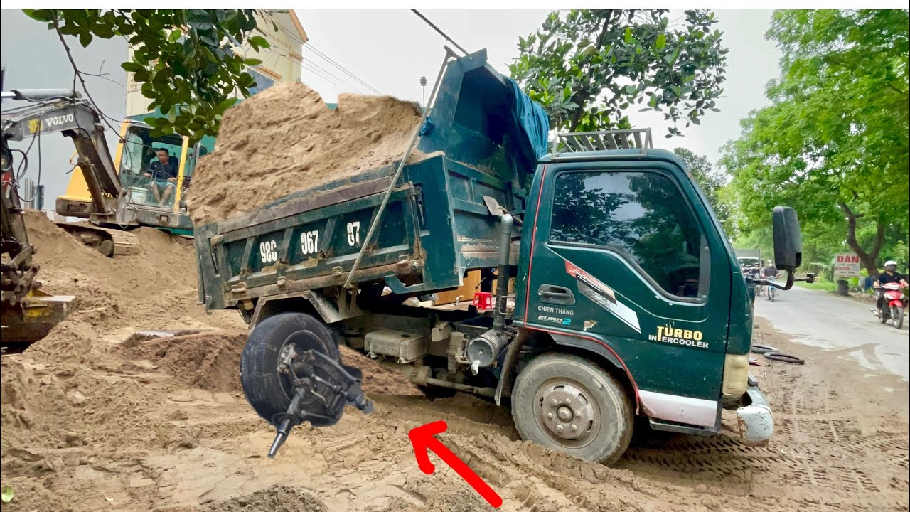 Ô TÔ TẢI HOA MAI CHỞ VÀ ĐỔ CÁT SIÊU LẦY XEM CỰC ĐÃ | CÔNG NÔNG CHỞ CÁT MÁY MÚC XÚC CÁT | SAND TRUCK