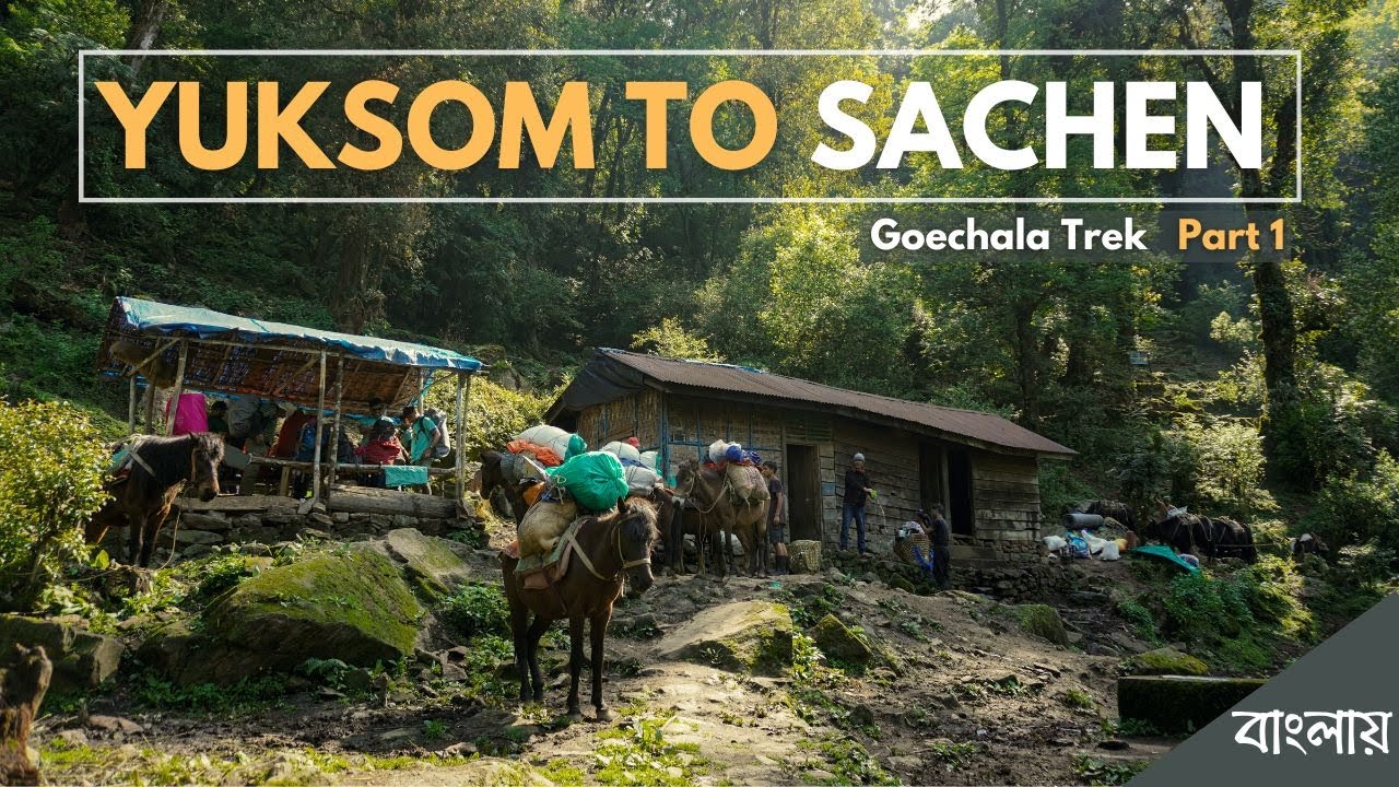 Goechala Trek 2022 I Part - 1 I Yuksom to Sachen I First-day trek through deep forest.