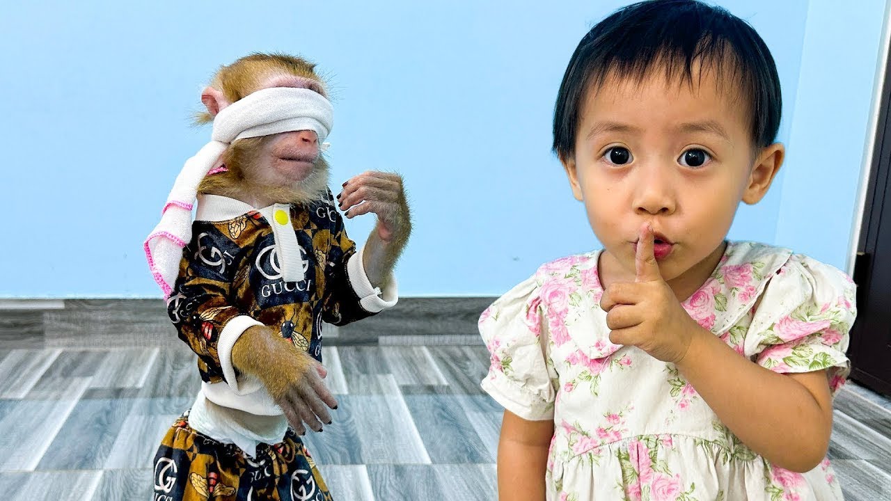 Monkey Kaka and Diem participate in a game of blind man's bluff, so funny