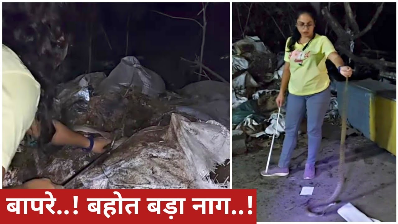 देखे कैसी जगह से मुश्किल से रेस्क्यू किया इस बड़े नाग को.. अनहोनी हो सकती थी..