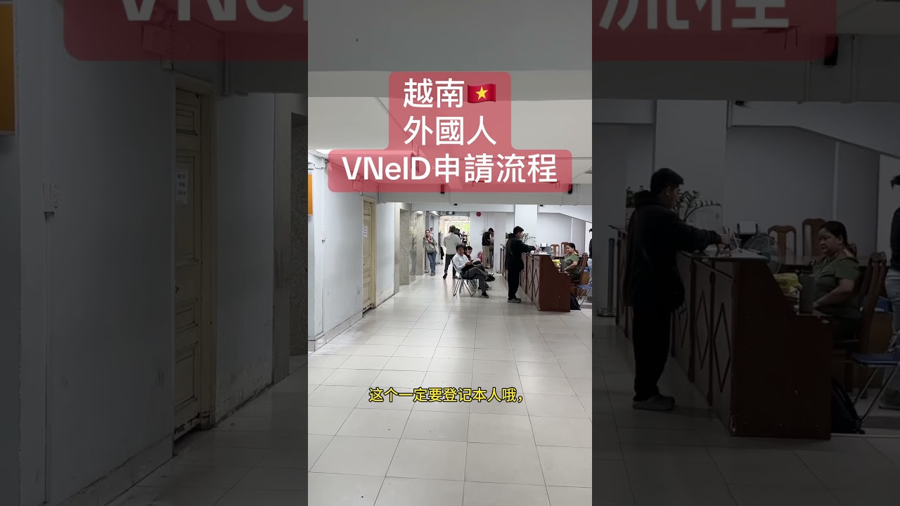 越南 #VNeid 申請流程