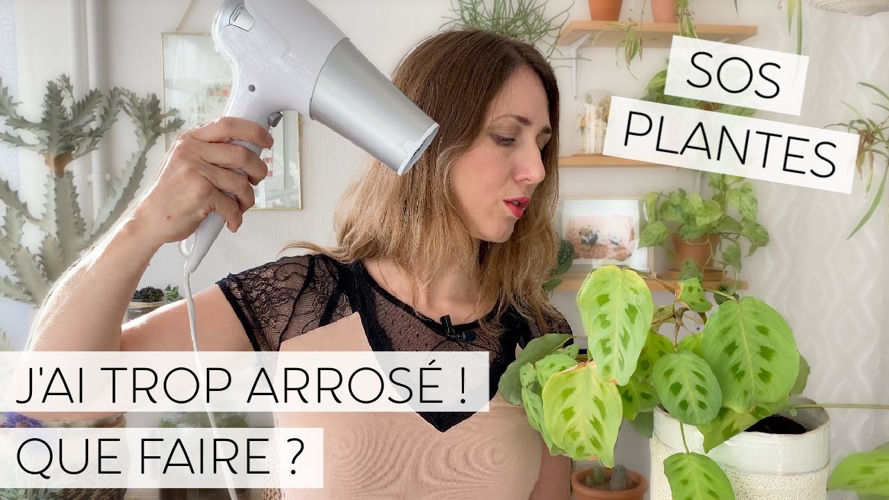 🪴 LE TERREAU NE SÈCHE PAS, J’AI TROP ARROSÉ MES PLANTES ! QUE FAIRE ? 😱💦