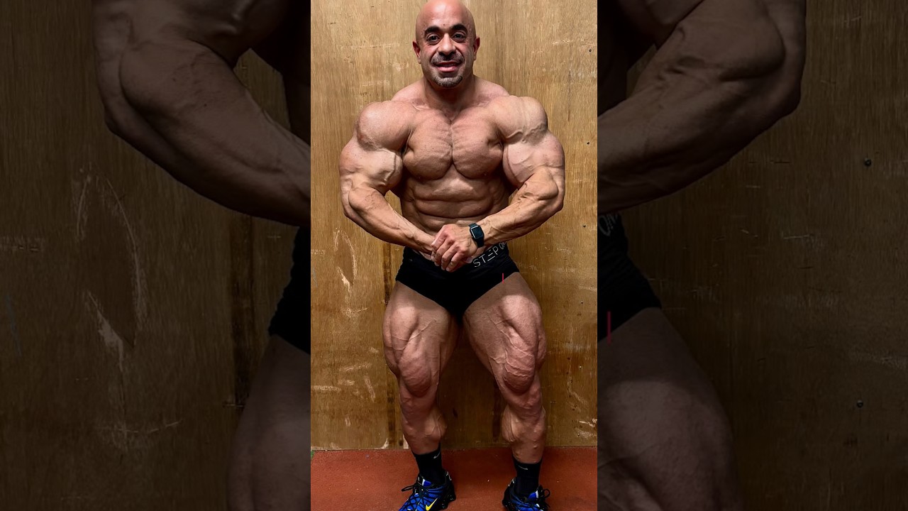 Элитная персидская генетика #mrolympia2025 #бодибилдинг
