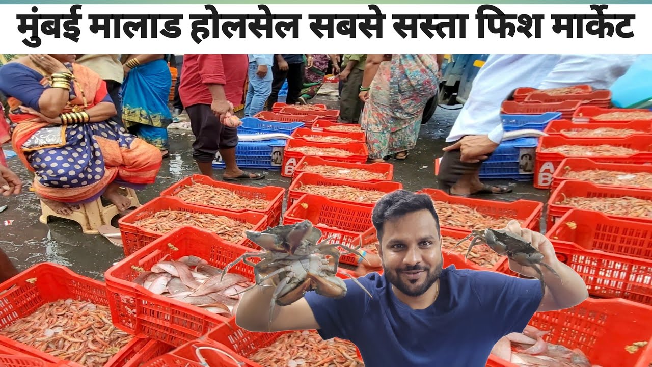 मालाड फिश मार्केट, Malad fish market latest video, मुंबईतील सर्वात स्वस्त मासली बाजार #fishmarket 