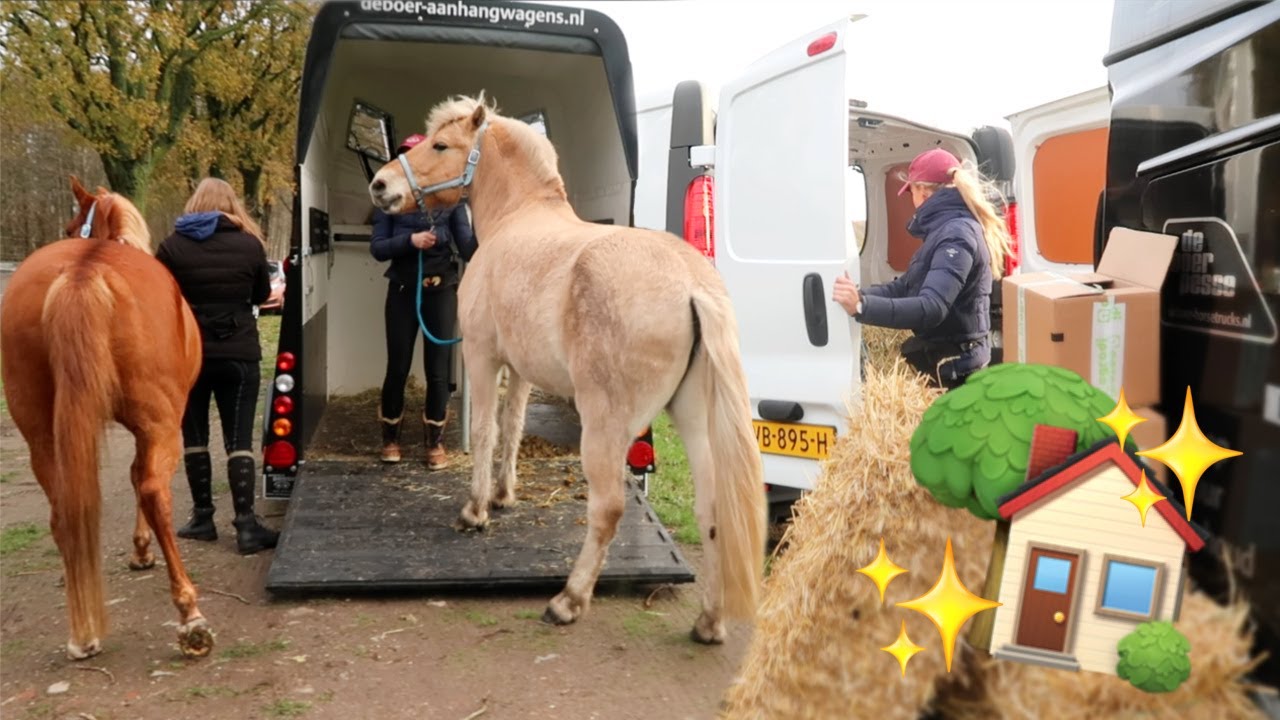 De grote verhuizing naar mijn eigen stal / paddock paradise! | Verhuismas #241