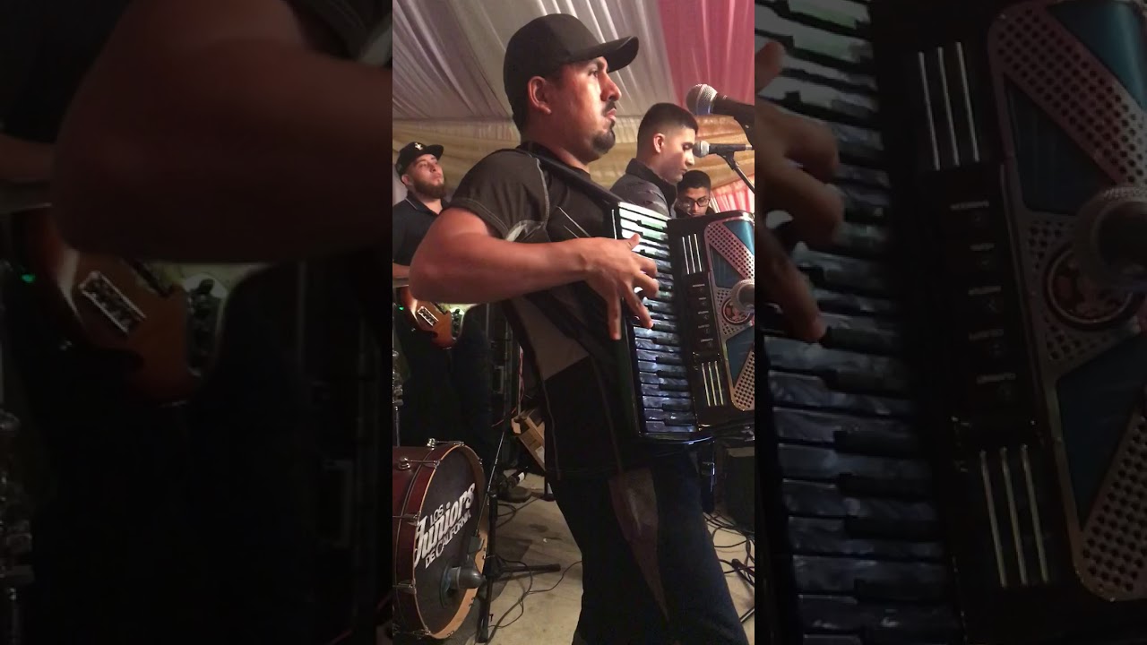 LA CANELERA - LOS JUNIORS DE CALIFORNIA - GIOVANI CHAVALOS DE LA MONTAÑA - EN VIVO