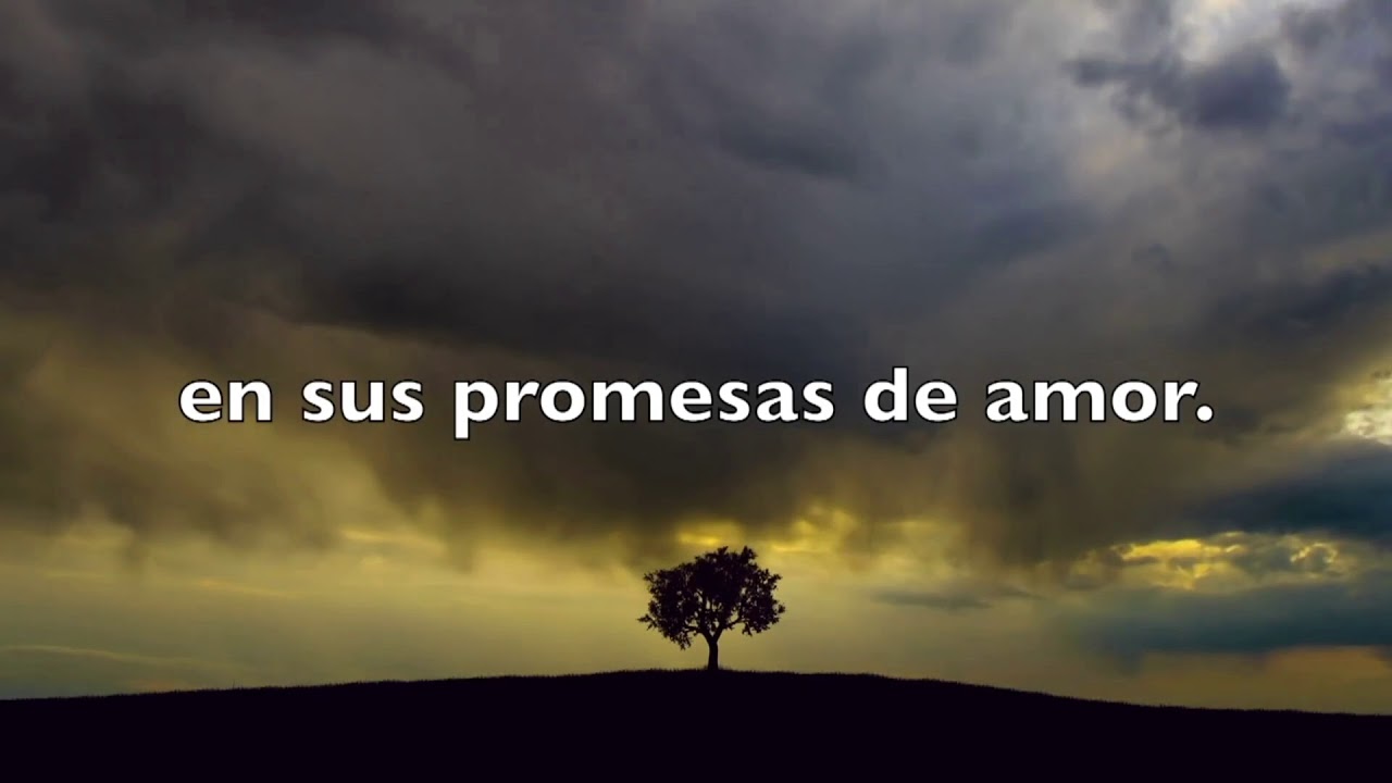 Festival de Misiones