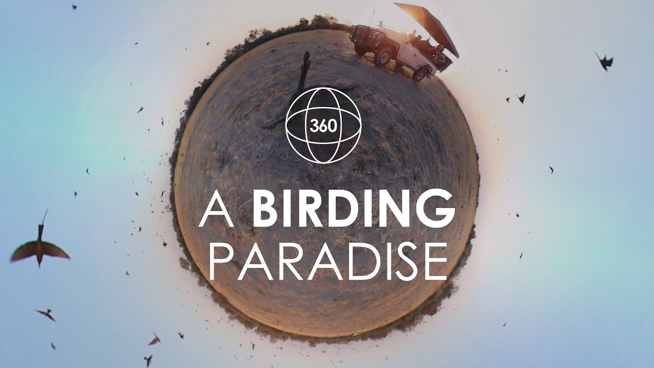 360˚ Bird Watching Experience in Botswana | Rhino Africa