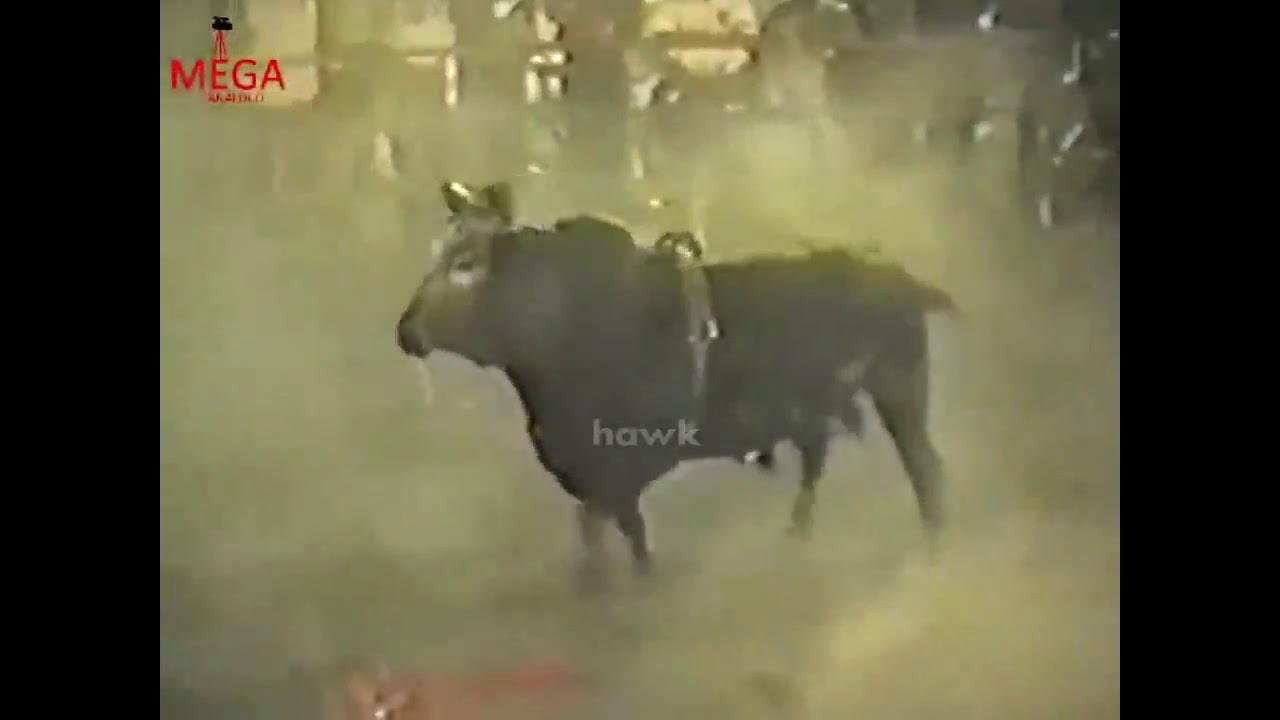Toros Famosos De Los 90s!