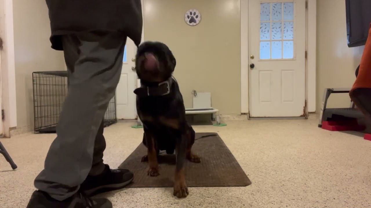 Rex's Last week 12 23 25
