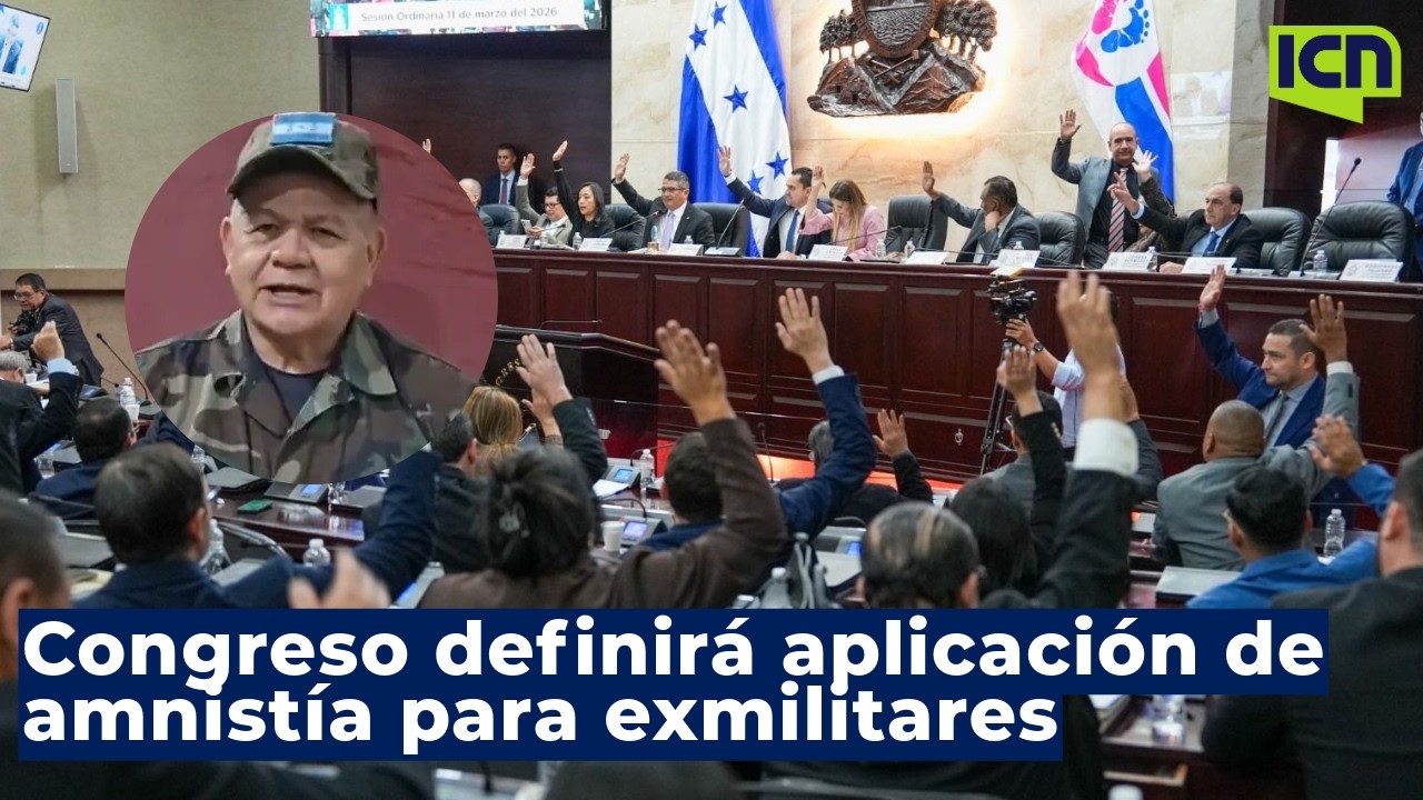 𝐃𝐞𝐛𝐚𝐭𝐞𝐧 𝐩𝐫𝐨𝐲𝐞𝐜𝐭𝐨 𝐝𝐞 𝐚𝐦𝐧𝐢𝐬𝐭𝐢́𝐚 𝐩𝐚𝐫𝐚 𝐦𝐢𝐥𝐢𝐭𝐚𝐫𝐞𝐬 𝐲 𝐜𝐢𝐯𝐢𝐥𝐞𝐬 𝐯𝐢𝐧𝐜𝐮𝐥𝐚𝐝𝐨𝐬 𝐚 𝐡𝐞𝐜𝐡𝐨𝐬 𝐝𝐞 𝟐𝟎𝟎𝟗