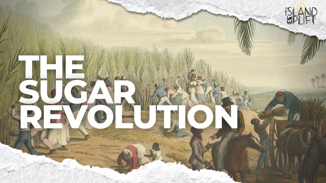Эпизод 18 &laquo;Сахарная революция&raquo; &mdash; История Карибского бассейна (урок истории)