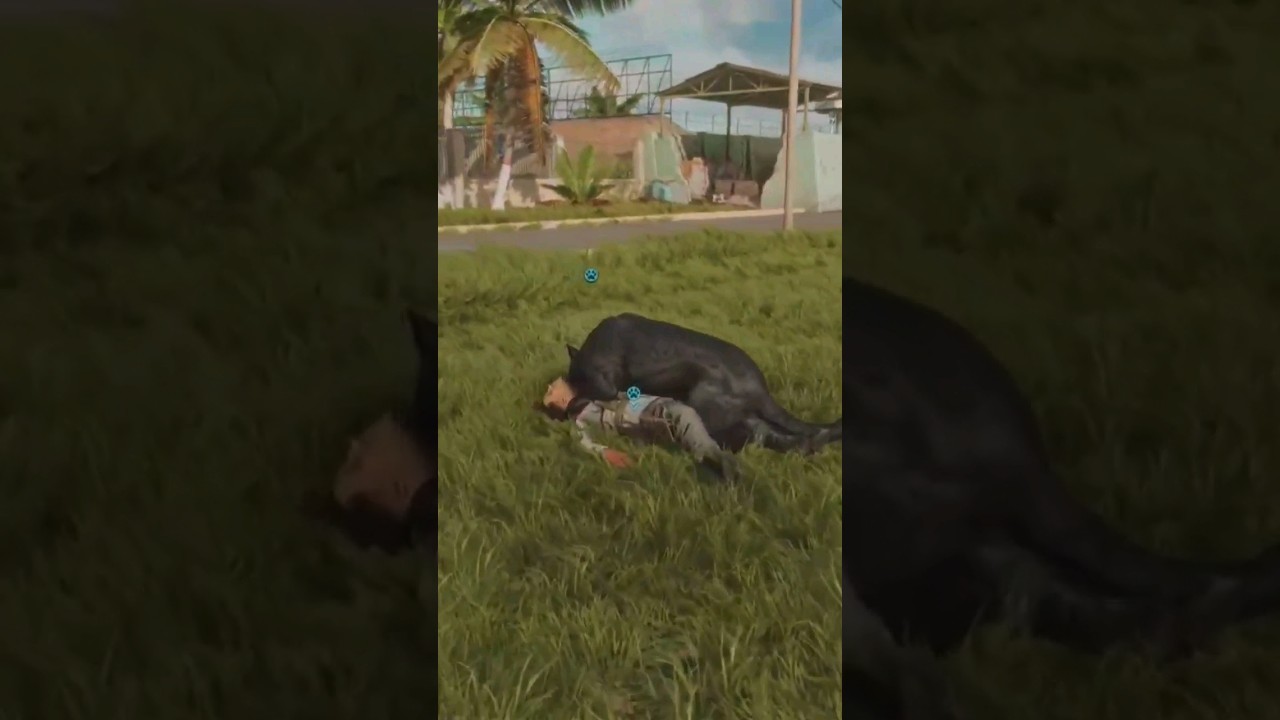 Oluso Takedown || Far Cry 6