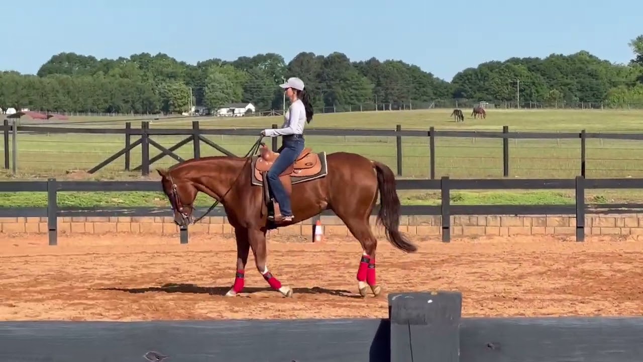 Baylie Robbins University of Georgia Equestrian Camp