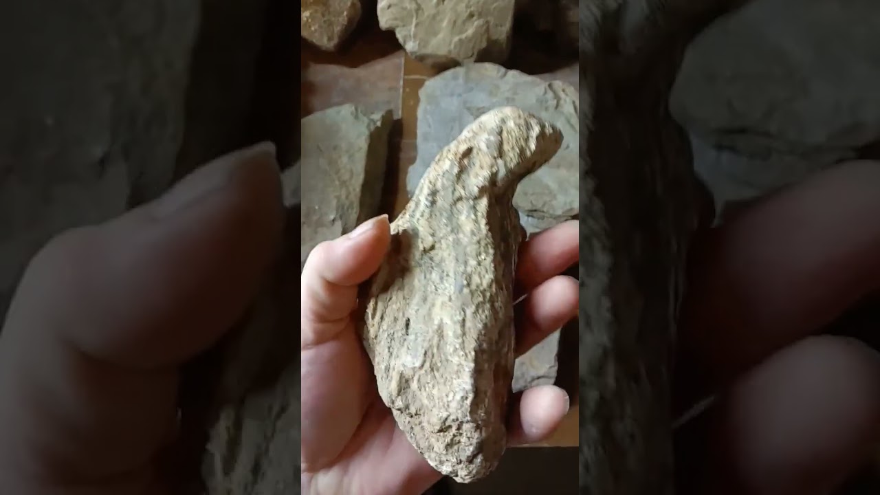 Close up, Han carved #StoneAge #anchientartifacts   #OakislandNJUSA #treasures   #oakisland few