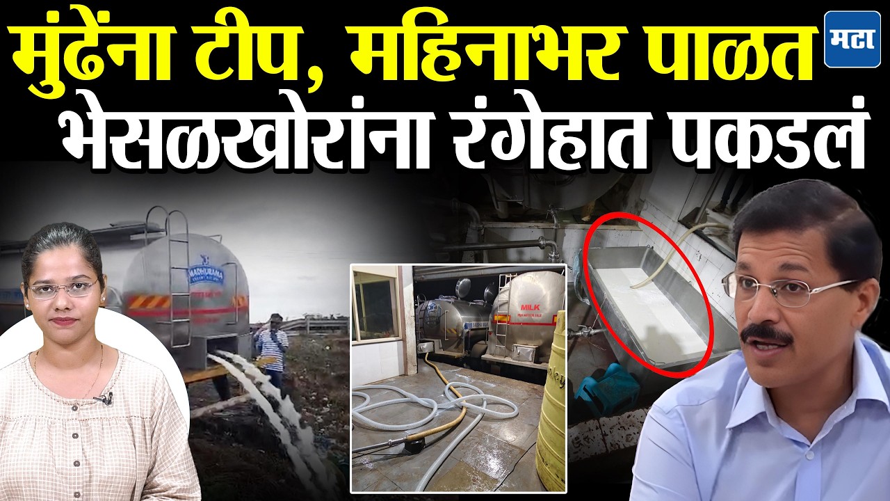 Tukaram Mundhe FDA Raid : २० हजार लीटर कृत्रिम दूध नष्ट, दूधात भेसळ करणाऱ्यांचं रॅकेट उद्ध्वस्त