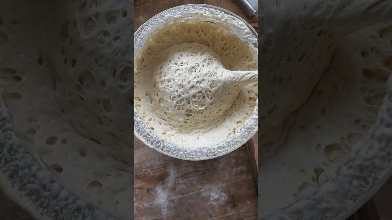 Pembuatan roti Sourdough