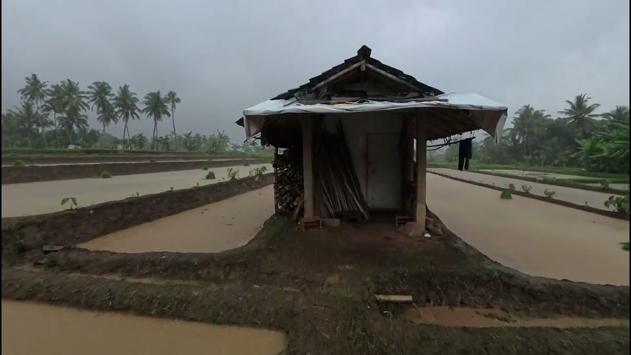 Sore Hari Saat Hujan Deras di Desa | Pedesaan Banjarnegara