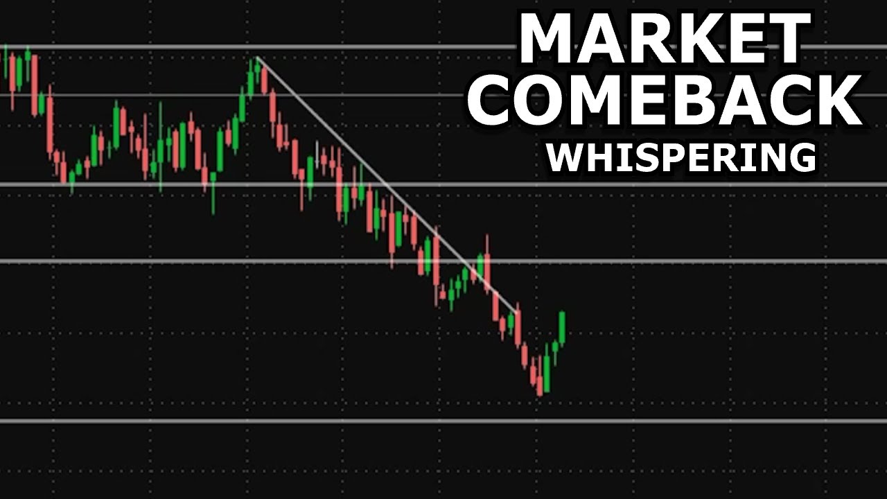 ASMR Stock Market Rebounding: Portfolio Updates