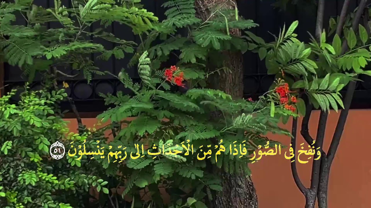 👉 Yosin surasi 83 oyat | Qalbga orom beruvchi ohangdor qiroat